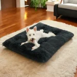 Coussin Chien Confort Douillet – Câlin Canin