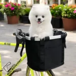 Panier vélo chien multifonctionnel et stylé pour un transport facile – BikeBuddy