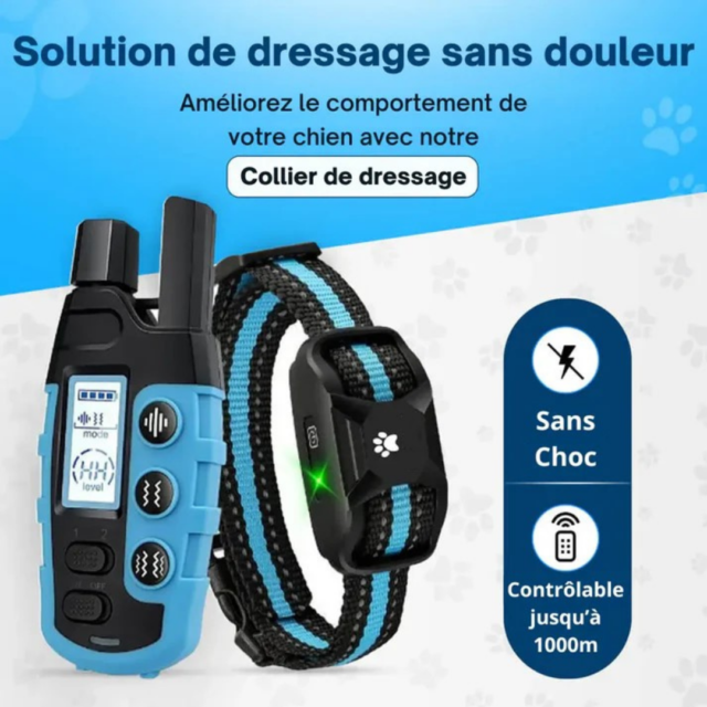 collier de dressage pour chien PawZenPro monpetitwoof