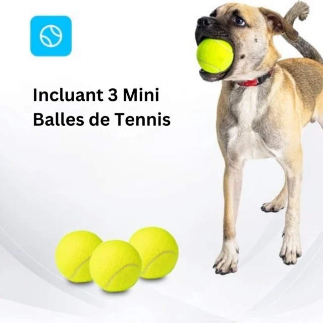 lanceur de balle pour chien PawPlay monpetitwoof