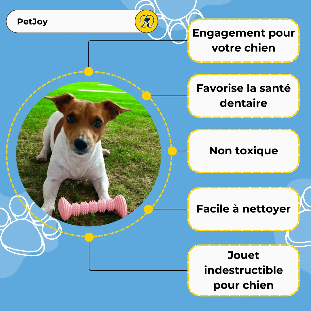 jouet pour chien indestructible PetJoy monpetitwoof